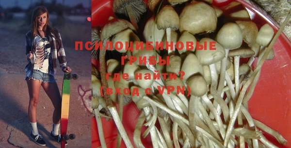 ешки Абинск