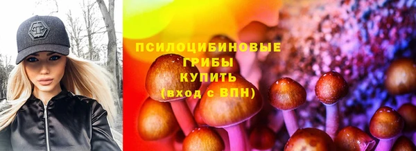 ешки Абинск